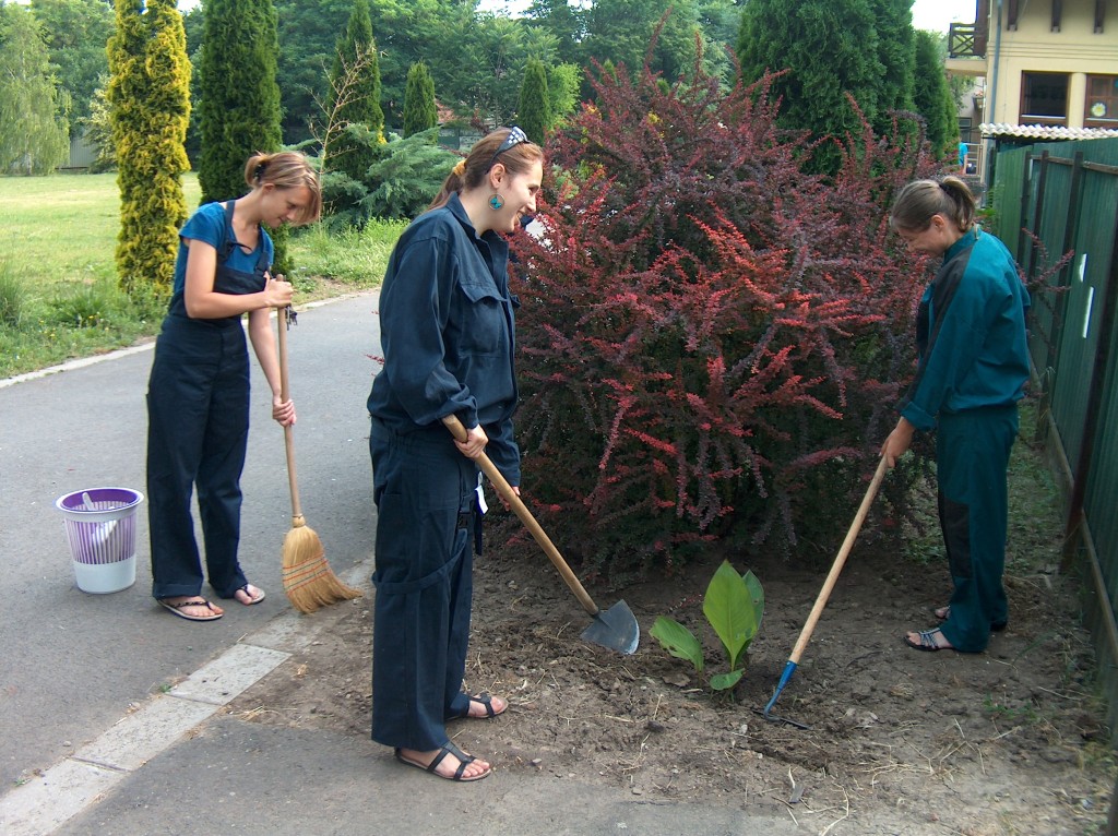 HAT-14-02-0047-007-magyarbanhegyes-elokeszites