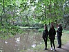 IMG_3429